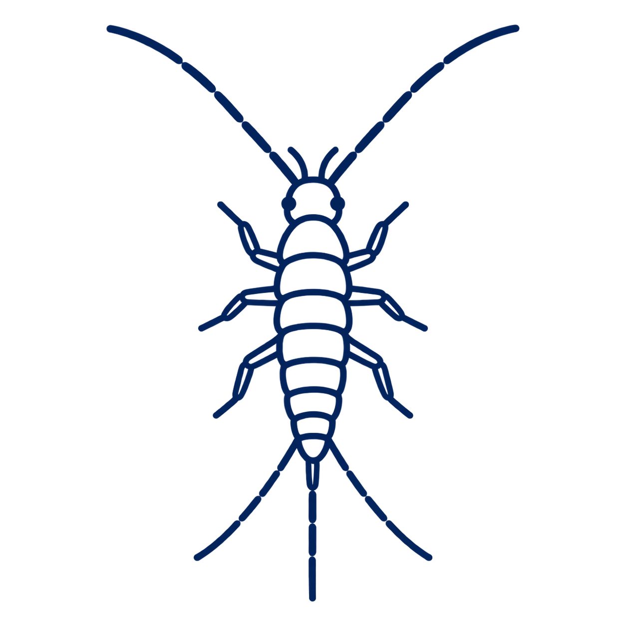 衣魚防治